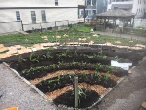 Revision Urban Farm